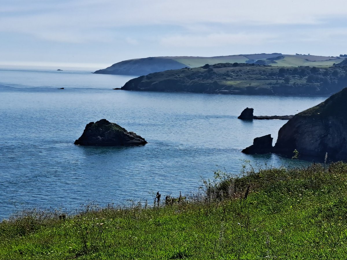 Goldry Bluszco tweet media