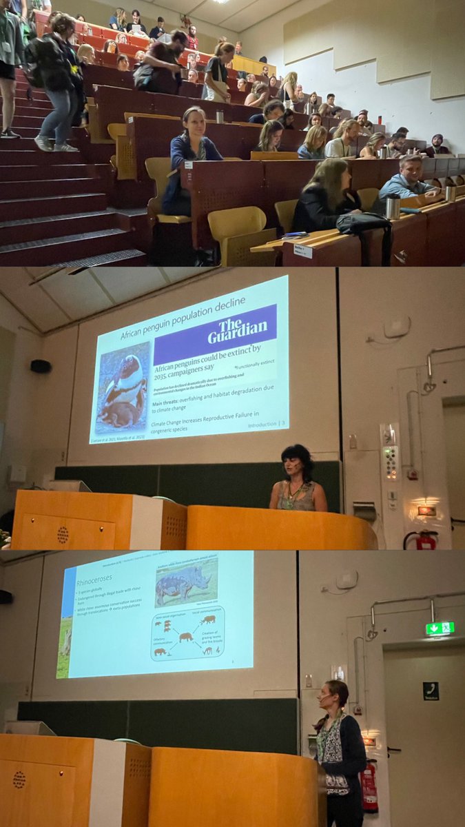 rhinointerview's tweet photo. A few impressions of our symposium on bioacoustics in practice at @2023Behaviour: inspiring researchers working on different species, using different methods under different conditions, having the same goal: finding ways to apply acoustic signals as a tool for animal monitoring. https://t.co/3rkjltjHNf