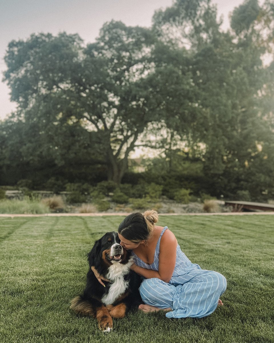 AshleyBarronOfficial tweet media