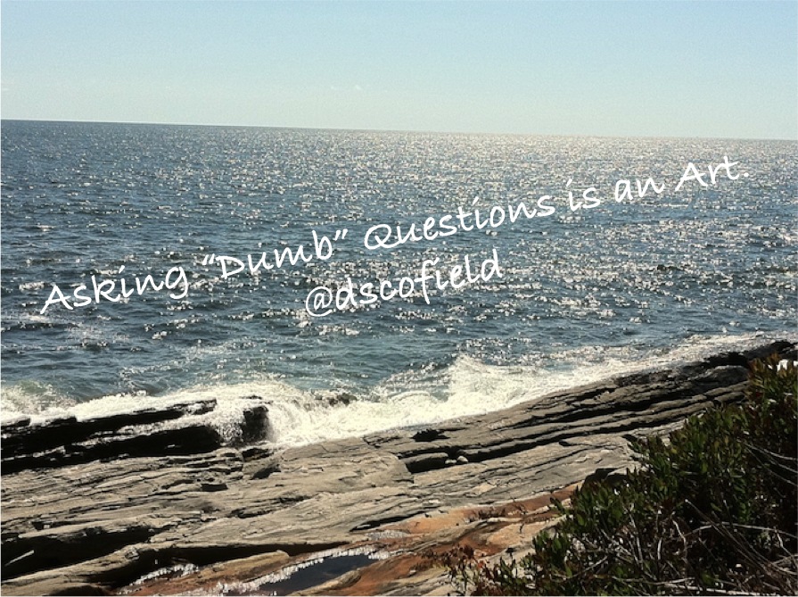 Asking "Dumb" Questions is an Art! Learn it!