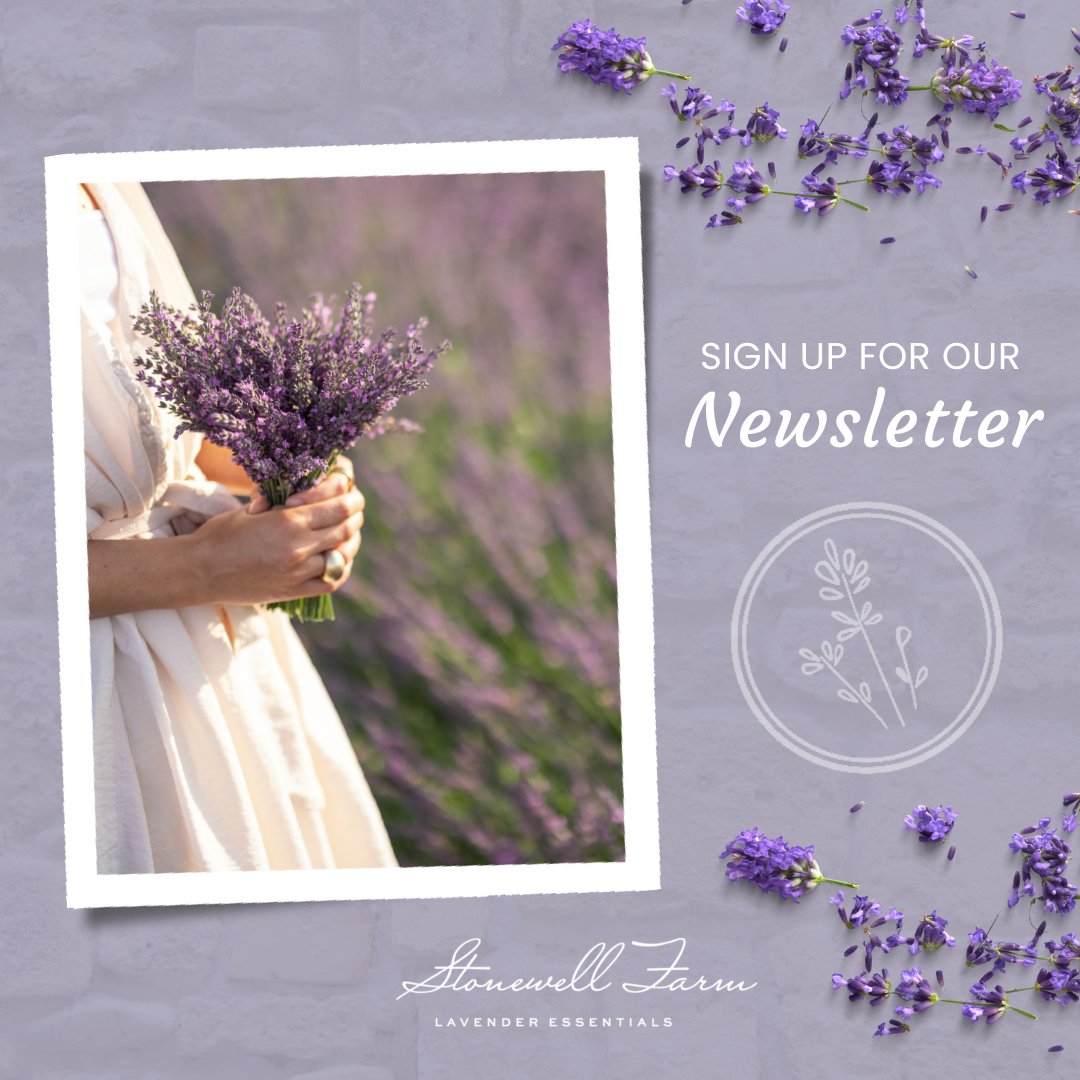 FarmStonewell's tweet photo. Did you know we have a bi-monthly newsletter?
By signing up, you'll never miss a plant sale or workshop announcement again and you'll always be the first to know about any new products or tour launches.
As a "Friend of Stonewell Farm'' you'll also get access to special discounts! https://t.co/IezmK68rkE