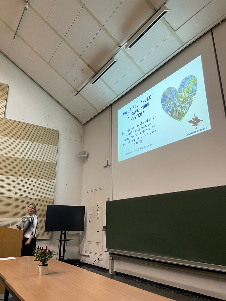 Viviana Di Pietro (@dipietroviviana) on Twitter photo Let’s move to insects! @LindstedtCarita will explore the costly cooperative antpredator defence in social haplodiploid pine sawfly #Behaviour2023 <a href="/HelenaMFerreir2/">Helena M. Ferreira</a> <a href="/ri_caliari/">Ricardo Caliari Oliveira</a> Let’s move to insects! @LindstedtCarita will explore the costly cooperative antpredator defence in social haplodiploid pine sawfly #Behaviour2023 <a href="/HelenaMFerreir2/">Helena M. Ferreira</a> <a href="/ri_caliari/">Ricardo Caliari Oliveira</a>