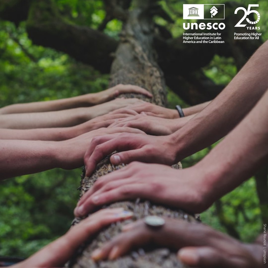 A special invitation is extended to professionals from the Caribbean and Africa to participate in the #ESDBootcamp 2023 (only in English) in order to obtain knowledge on Education for Sustainable Development and transformative pedagogies.

Find out more 🔎 bit.ly/3YBlupG