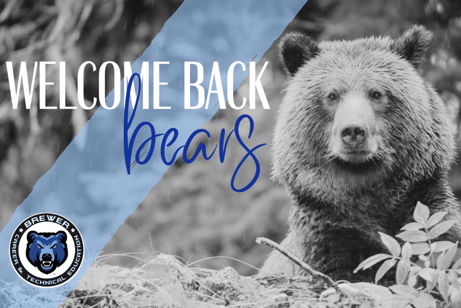 Brewer Bear CTE tweet media