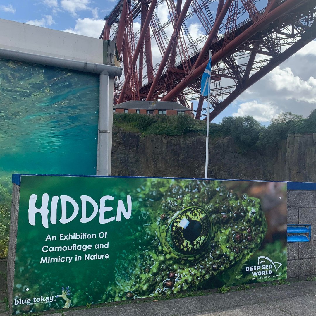 Farewell Hidden! 

We'll miss you! <a href="/BlueTokay/">Blue Tokay</a> 🐸