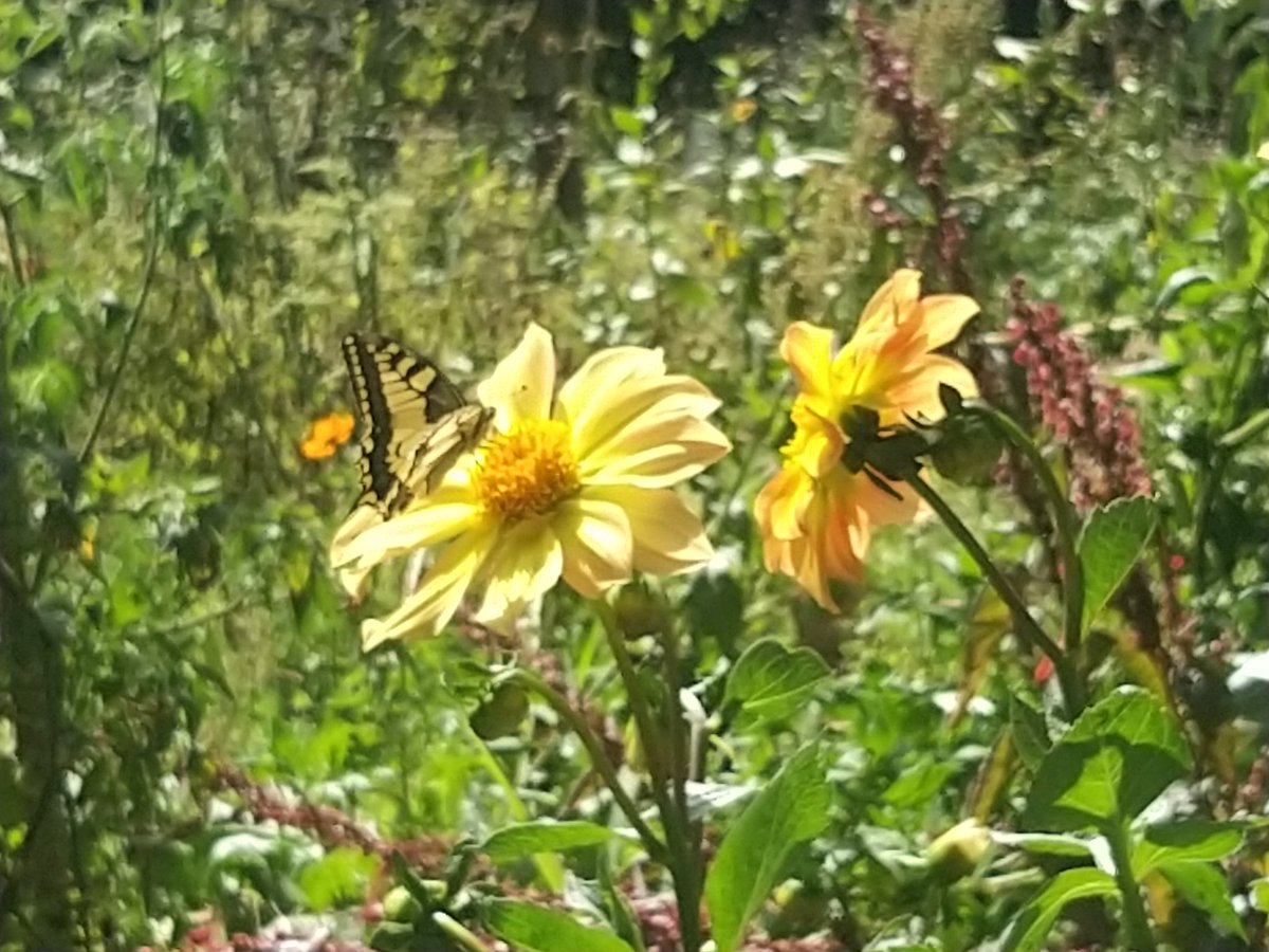 A Bientôt.... #Vacances numériques