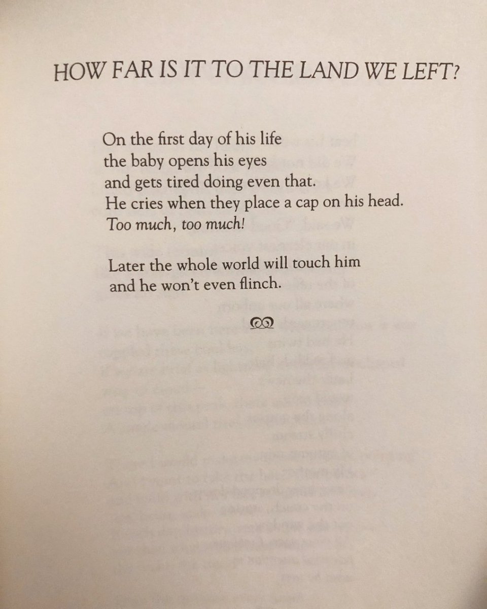 readalittlepoem's tweet image. Day 16 of The Sealey Challenge. Today&apos;s offering is Fuel: Poems by Naomi Shihab Nye, published by BOA Editions (@boaeditions), 1998.

#TheSealeyChallenge #sealeychallenge #thesealeychallenge2023