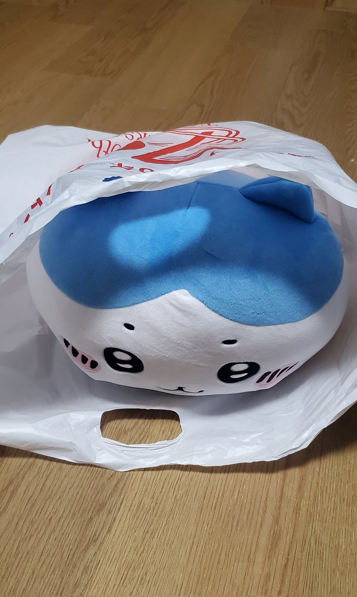 取れてしまった