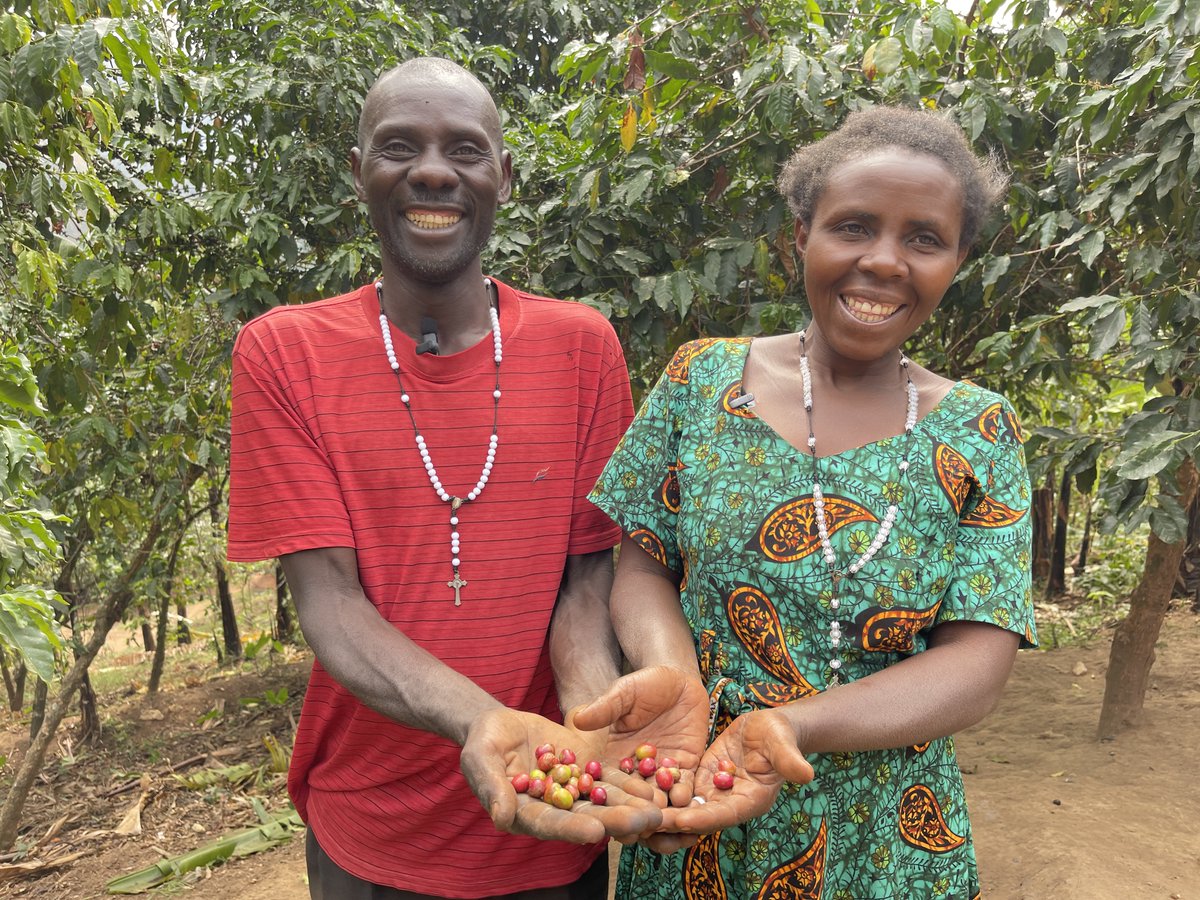 The Bean to Cup #BECUP project aims to improve coffee production in order to promote sustainability, enhance quality and create economic opportunities for smallholder coffee farmers in Rwenzori, Uganda. Read more here buff.ly/3QD5L7E

<a href="/longmilescoffee/">Long Miles Coffee</a> <a href="/weeffect/">We Effect</a>