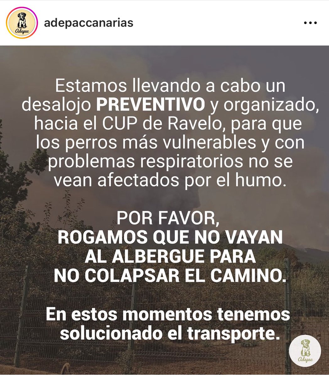 lavecinarubia's tweet photo. Por si alguien puede ayudar, importante difundir para que llegue la ayuda. 🩷 #IFArafoCandelaria https://t.co/ZAawPAtu7H