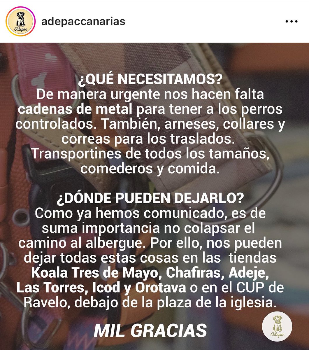 lavecinarubia's tweet photo. Por si alguien puede ayudar, importante difundir para que llegue la ayuda. 🩷 #IFArafoCandelaria https://t.co/ZAawPAtu7H