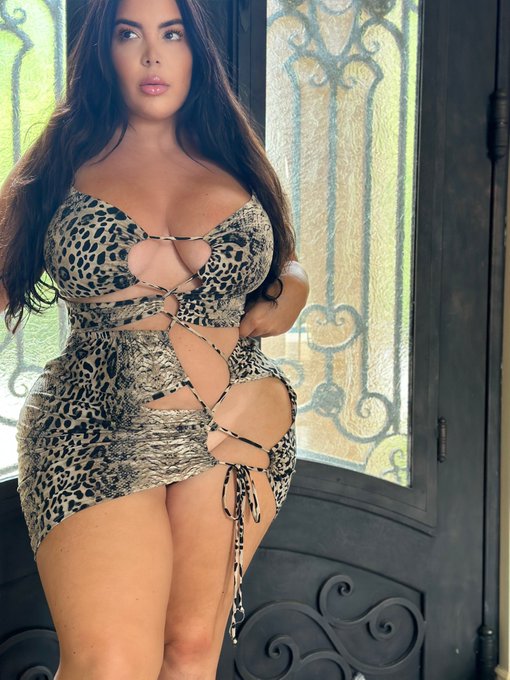 🐍 slide my way 🐍 🐆 https://t.co/GwKuAzPABZ