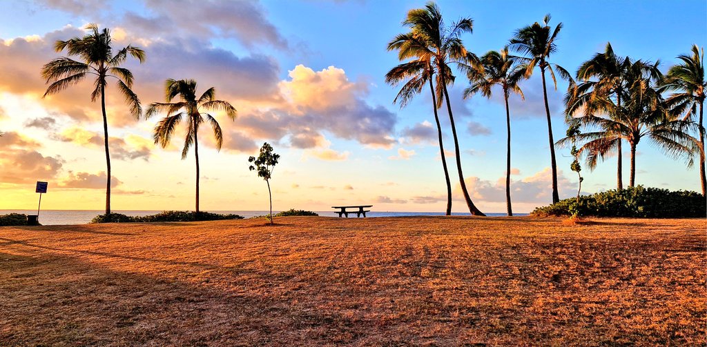 #vacationmodeon🏝 #sunsetspotting🌅 #haleiwabeach #northshore <a href="/oahu/">O'ahu Hawai'i</a> <a href="/HawaiianAir/">Hawaiian Airlines</a>