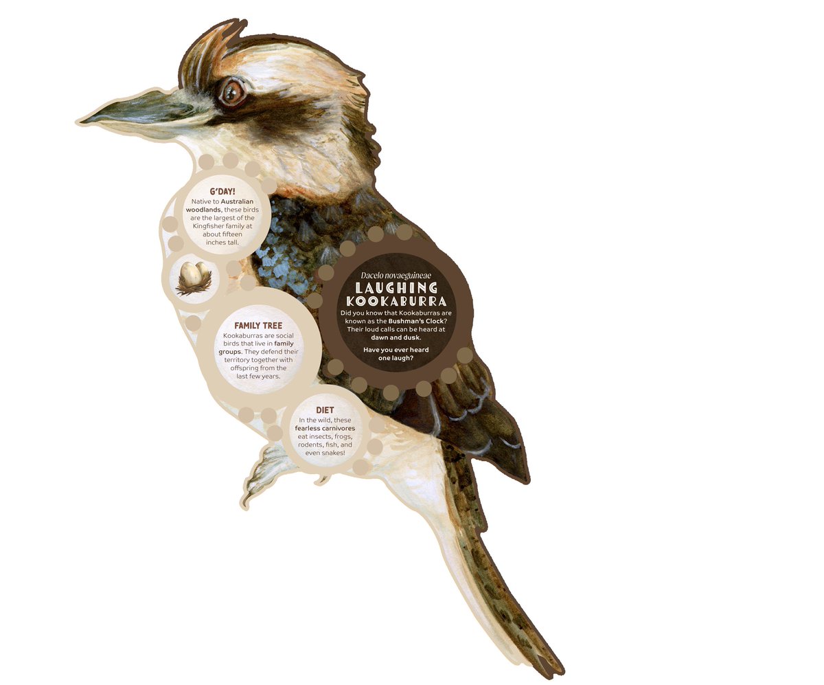 WDM Architects tweet media