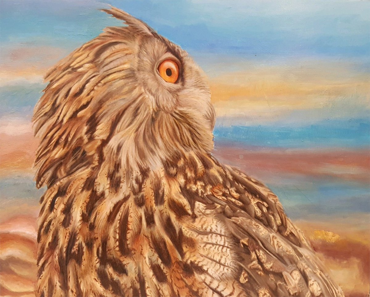 WDM Architects tweet media