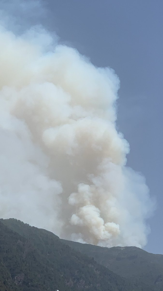 🥺💔 #canarias #Tenerife