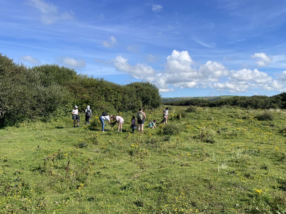 CentreBraunton's tweet photo. What a great day spent on Braunton burrows in the sun with Jamie from the @BumblebeeTrust
The Brown banded carder bees made a number of appearances, as well as others such as red-tailed bumblebee, meadow brown and some interesting solitary bees & wasps too! 🐝
#connect2nature https://t.co/Se99YfxRnF