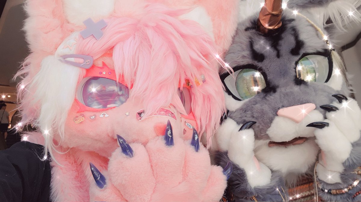💗💗💗💗
