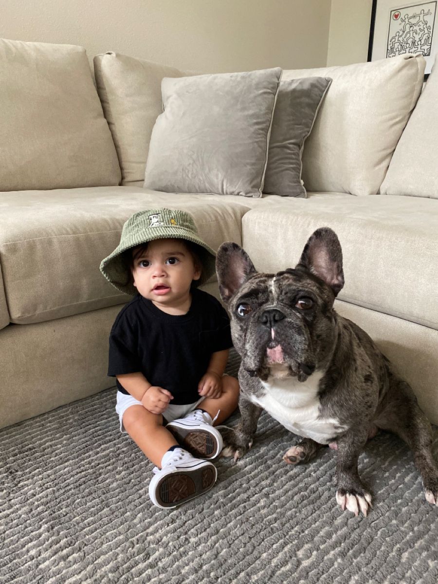 Bulldoglovers02's tweet photo. bestfriends🐾🫶🏼 https://t.co/HfmaM7VveT
