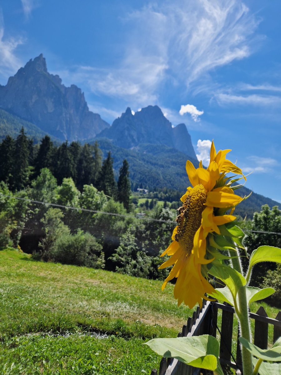 local #saunter, followed by #reading and #relaxing