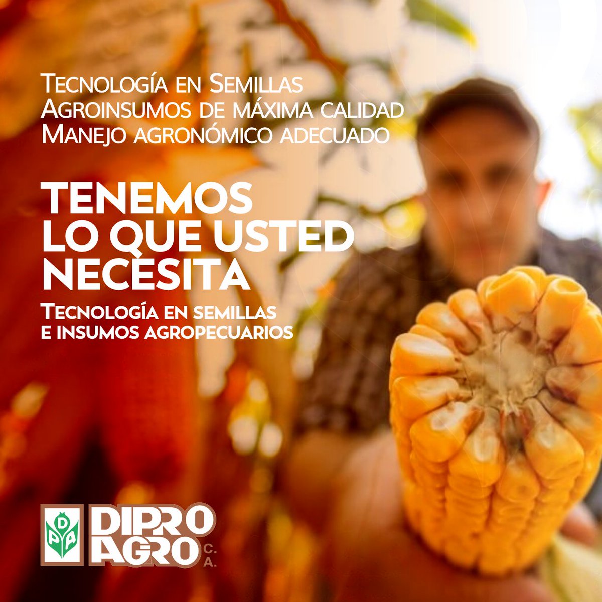 diproagroca's tweet photo. Sembrar semillas de genética certificada, utilizar agroinsumos de calidad y  realizar manejos agronómicos adecuados, son las claves para lograr cultivos con más rendimiento
Tenemos un compromiso con entregar a nuestros agricultores semillas e insumos de primera calida https://t.co/fotPHbkYx8