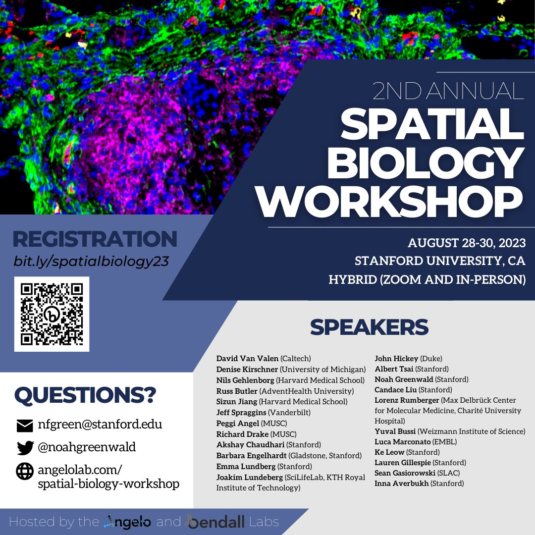The second annual Spatial Biology Workshop is just two weeks away! This free event will showcase the power of spatial techniques to answer biological questions. We'll be showcasing new methods for data generation and analysis, as well as the novel findings they enable (1/x)