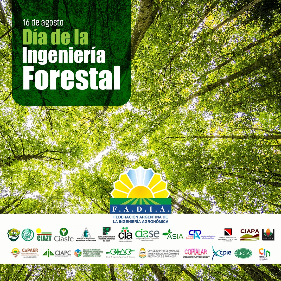 PrensaFADIA's tweet photo. La #FADIAsaluda a la @FederacinArgen2 - #FAIF y a todos los colegas matriculados ingenieros forestales y títulos afines en ocasión de celebrarse hoy el día de la #IngenieríaForestal y los invitamos a continuar trabajando juntos por el desarrollo agropecuario y forestal del país https://t.co/EmcvBSV0EM
