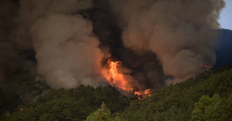 abc_es's tweet photo. 🔴 1.200 hectáreas quemadas y cuatro municipios evacuados: las imágenes del incendio que arrasa Tenerife