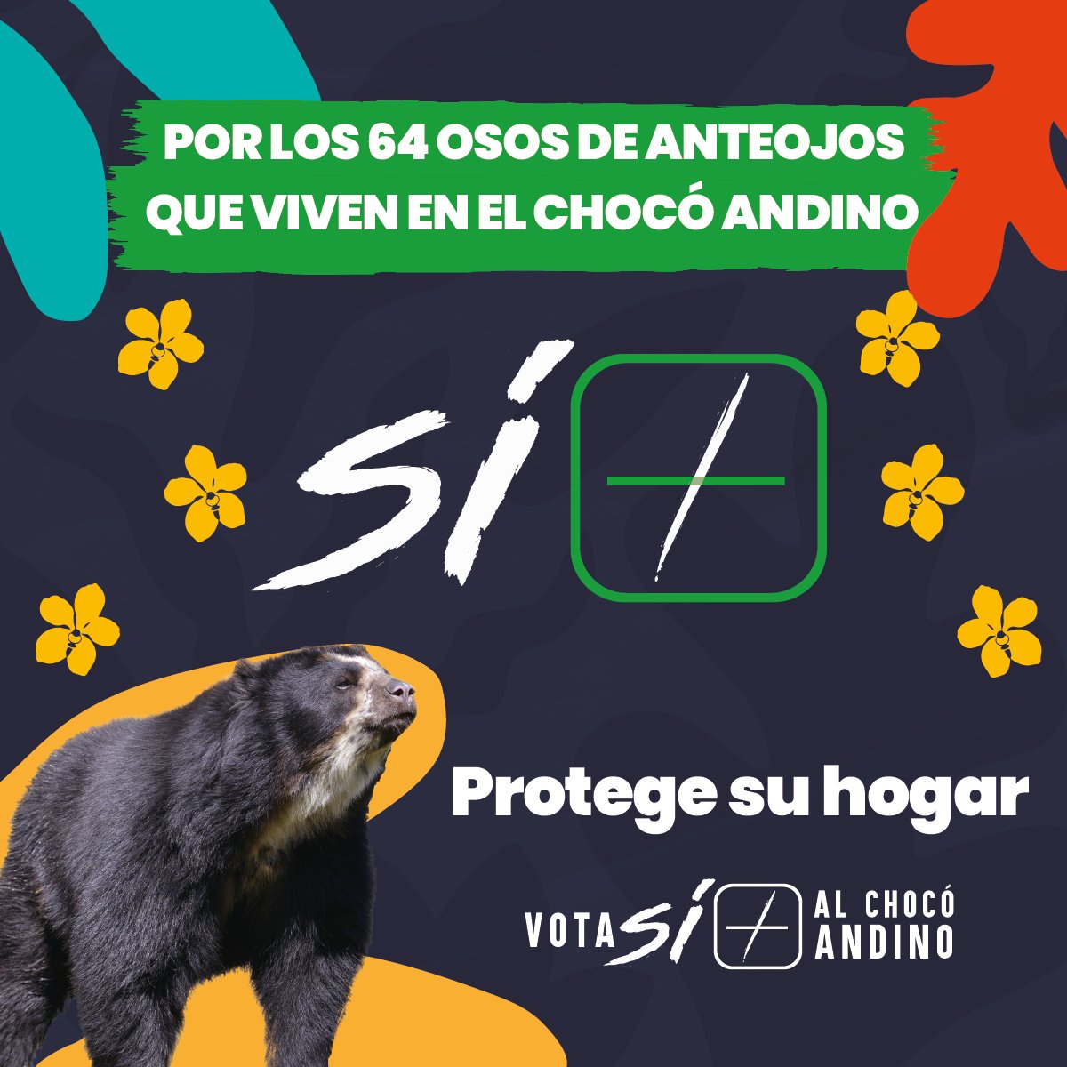 🔎 La congregación más grande de Osos Andinos u oso de anteojos, único oso nativo de Sudamérica, se encuentra en la Reserva Maquipucuna donde hay concesiones mineras a cielo abierto.

⚠️ La minería destruiría por completo su hogar 💔
¡VOTA 4 veces #SíAlChocóAndino #SíAQuito!💚🐻