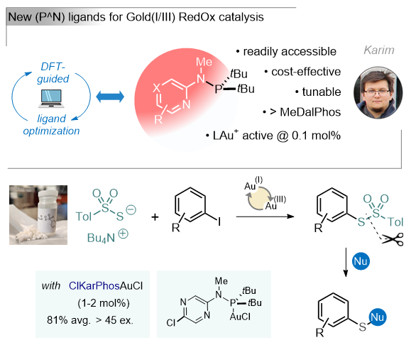 Gagosz Lab (@thegagoszlab) on Twitter photo Very excited to share with you this last work by Karim on the development of (P^N) ligand for Au(I/III) ✨RedOx catalysis <a href="/TheGagoszLab/">Gagosz Lab</a> <a href="/uOttawaCHM/">uOttawa Chem & Biomolec Sci // Chimie & Sci Biomol</a>
➡️ Check out here to know more <a href="/ChemRxiv/">ChemRxiv</a> :
doi.org/10.26434/chemr… Very excited to share with you this last work by Karim on the development of (P^N) ligand for Au(I/III) ✨RedOx catalysis <a href="/TheGagoszLab/">Gagosz Lab</a> <a href="/uOttawaCHM/">uOttawa Chem & Biomolec Sci // Chimie & Sci Biomol</a>
➡️ Check out here to know more <a href="/ChemRxiv/">ChemRxiv</a> :
doi.org/10.26434/chemr…