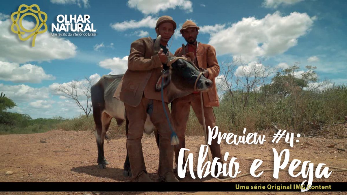 imgcontent's tweet photo. Confira mais um preview da série "Olhar Natural", onde o vaqueiro Juraci canta o tradicional aboio durante uma pega do boi, em imagens de tirar o fôlego!

https://t.co/yCYbd9K7Oz https://t.co/kEZxKRq9ds