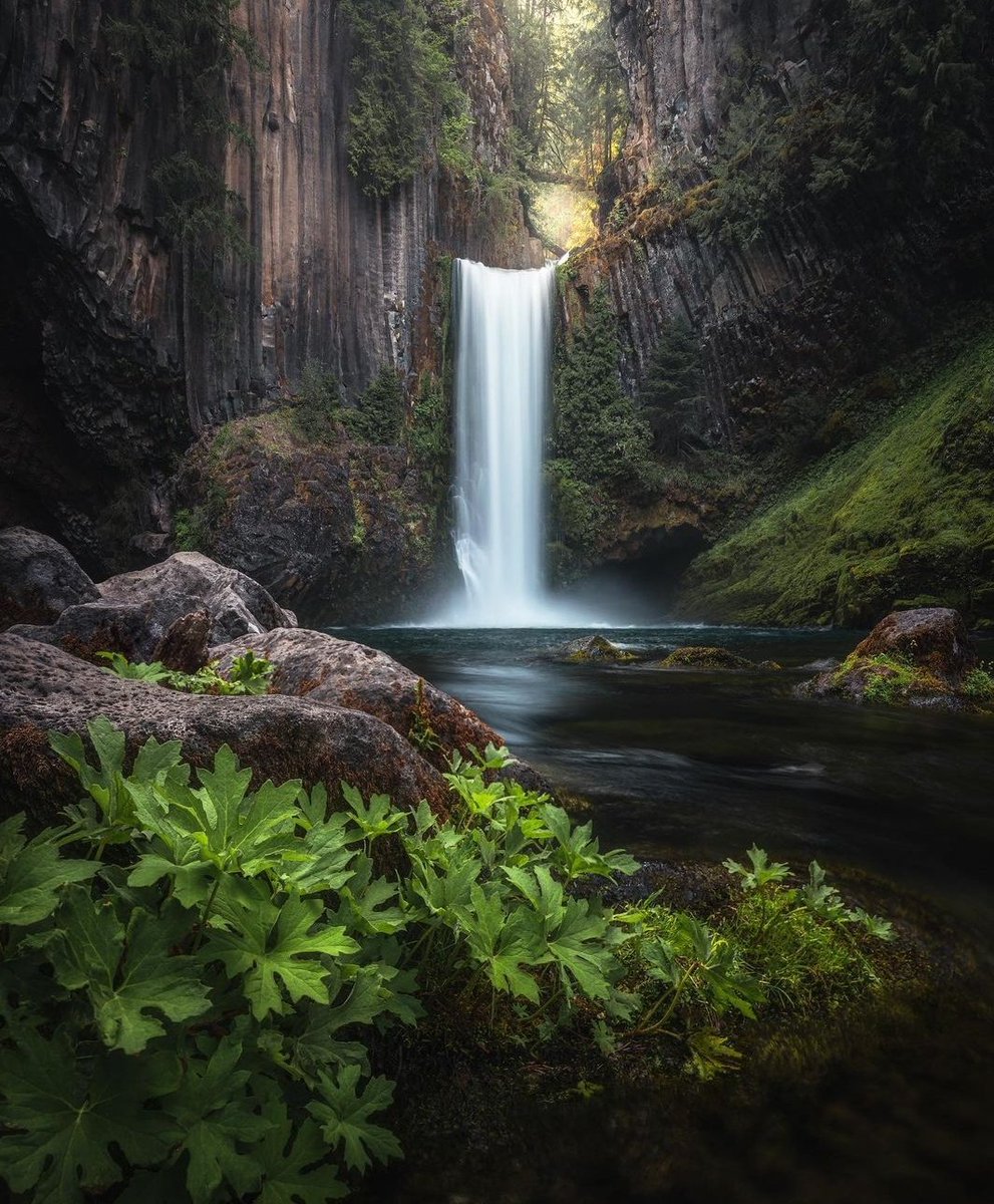 Umpqua National Park 🇺🇸