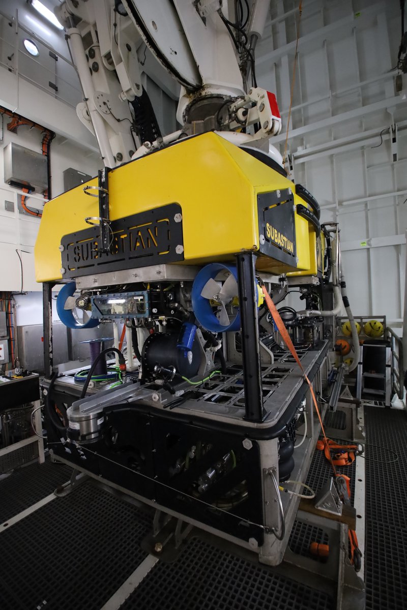 Pierre Deep Sea (@pgirguis) on Twitter photo Day 4 of the #GalapagosVents expedition. We are en route to the sites, and will arrive in a few days. I am grateful for having a bit of transit time to get set up. The Falkor(too) is amazing. Here's the main lab and ROV SUBastian in its hangar.
<a href="/SchmidtOcean/">Schmidt Ocean</a>
@SymbiosisRox Day 4 of the #GalapagosVents expedition. We are en route to the sites, and will arrive in a few days. I am grateful for having a bit of transit time to get set up. The Falkor(too) is amazing. Here's the main lab and ROV SUBastian in its hangar.
<a href="/SchmidtOcean/">Schmidt Ocean</a>
@SymbiosisRox