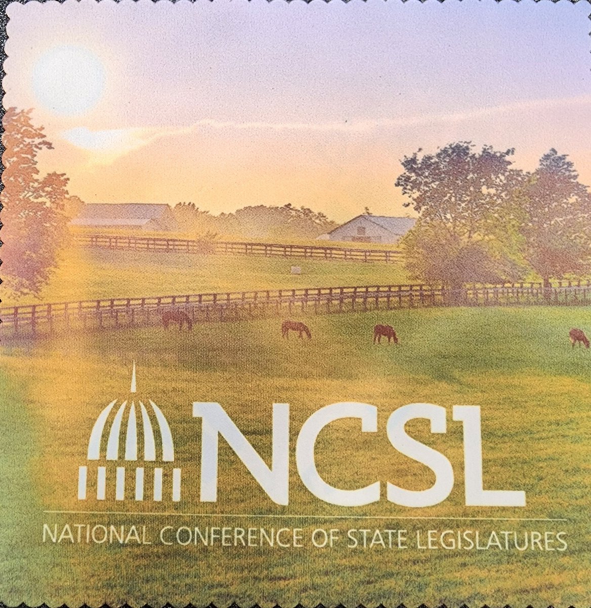 Great several days of learning and policy conversations at the National Conference of State Legislators 2023 Summit! #NCSL2023