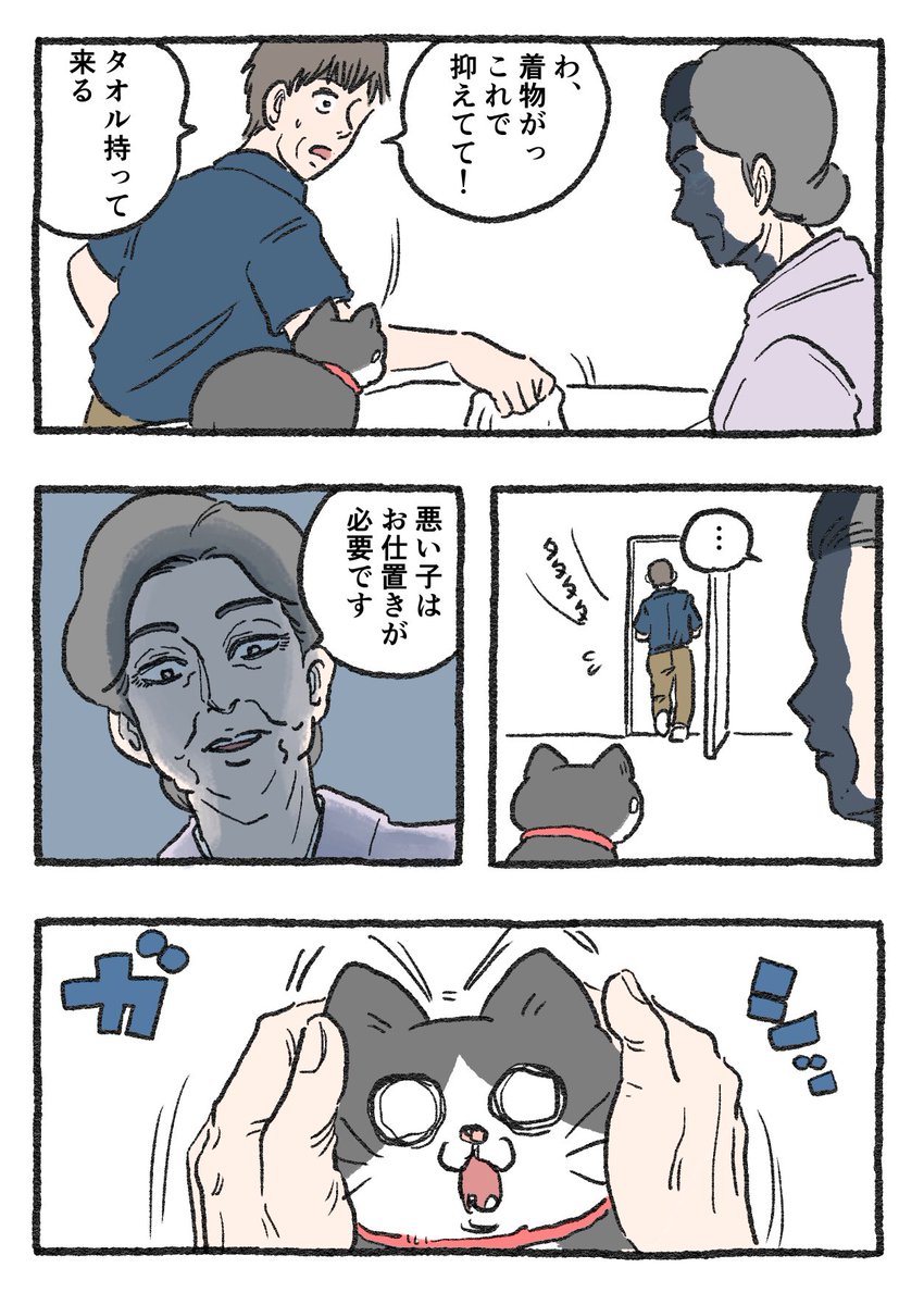 ねこに転生したおじさん。その193 （1/2） ※画像4枚です