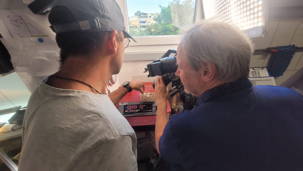 ProjectEmysR's tweet photo. 🎥🥚🔜🐢 Day2 of ARTE team &amp; @KTheissinger visiting @SEALIFESpeyer for highlighting the relevance of conservatory husbandries and #zoo for #reintroduction actions #ForNature… with timely #hatchling in the making… more soon 
@geobiodiversity 
@IPHC_Strasbourg https://t.co/xW90ovV1KY