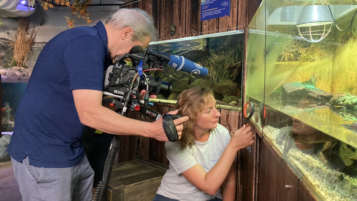 ProjectEmysR's tweet photo. 🎥🥚🔜🐢 Day2 of ARTE team &amp; @KTheissinger visiting @SEALIFESpeyer for highlighting the relevance of conservatory husbandries and #zoo for #reintroduction actions #ForNature… with timely #hatchling in the making… more soon 
@geobiodiversity 
@IPHC_Strasbourg https://t.co/xW90ovV1KY