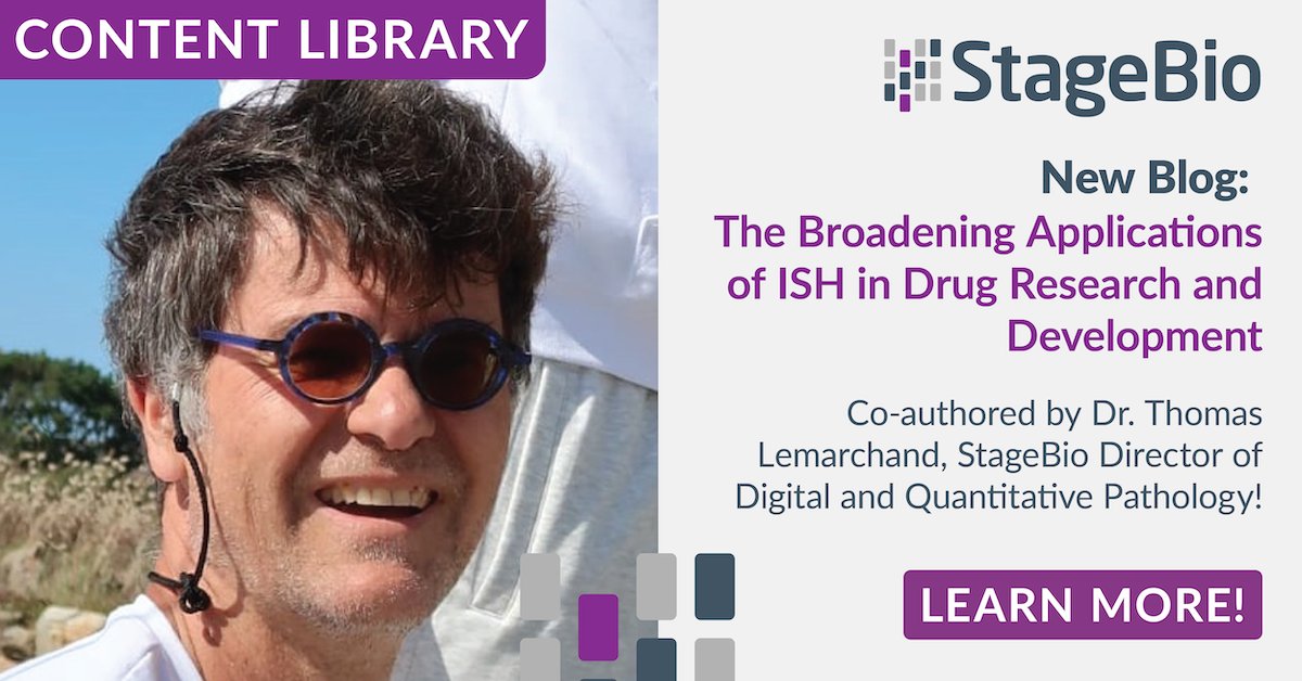 This recent paper reviews the advances of #InSituHybridization  to determine the reasons behind the technique’s increased use in drug R&D: buff.ly/47yjRgC  #ToxPath