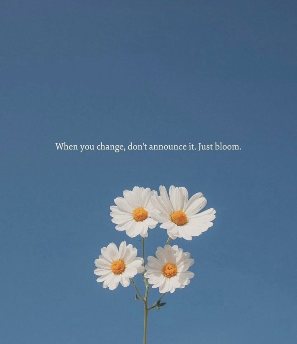 Just bloom.