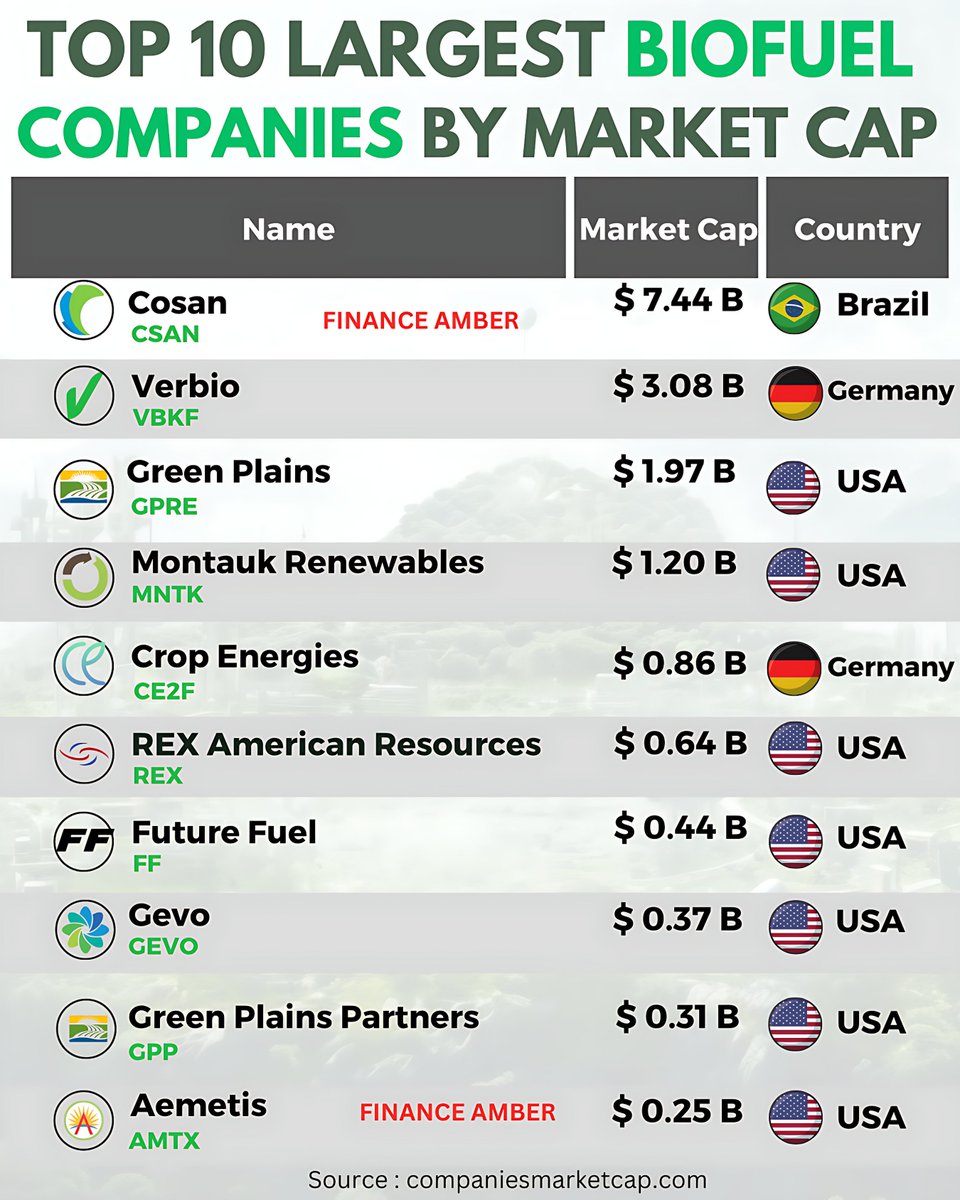 The following table shows the ten largest biofuel companies by market cap.
#biofuels #biodiesel #biofertilisers #ethanol #takachar #cbg #plants #animalwaste #breakthroughenergy #cosan #verbio #greenplains #brazil #usa #germany #financeamber #amberkul #amber