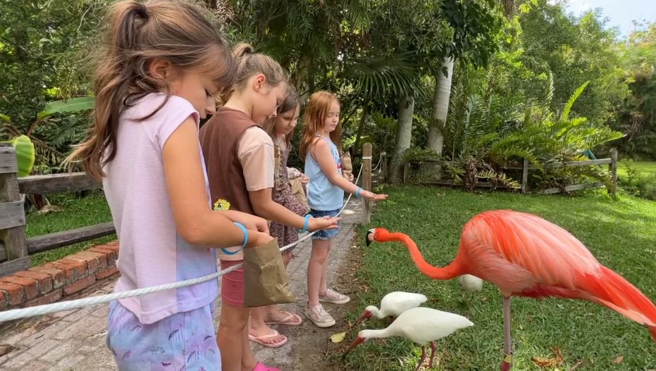 GSGCF's tweet photo. πΎExperience a memorable day at Springtime Farm Adventure Park! π¨πͺ Up-close animal encounters, playgrounds, and more! Don't miss this fun-filled event. Register by September 14, 2023. $12.00 per person. Register now: https://t.co/xDumj7PCIX!π #GSGCF #GirlScouts https://t.co/KM750elKoX