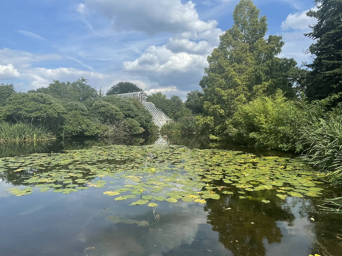 Caroline Cornish (@carolinecornis1) on Twitter photo I work here in this #pomo beauty! Sometimes I have to pinch myself
<a href="/kewgardens/">KewGardens</a> @KewScience <a href="/PlantHums_UK/">Plant Humanities UK</a> #SirJosephBanksBuilding I work here in this #pomo beauty! Sometimes I have to pinch myself
<a href="/kewgardens/">KewGardens</a> @KewScience <a href="/PlantHums_UK/">Plant Humanities UK</a> #SirJosephBanksBuilding