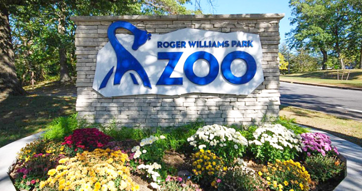 Leopards! Zebras! Bears! Oh my! Come explore Roger Williams Park Zoo after hours and see if you can spot Wildcat Willie's cousins on Saturday, September 9 during our JWU at the Zoo! Register today! #JWUAlumni

alumni.jwu.edu/jwu-at-the-zoo…