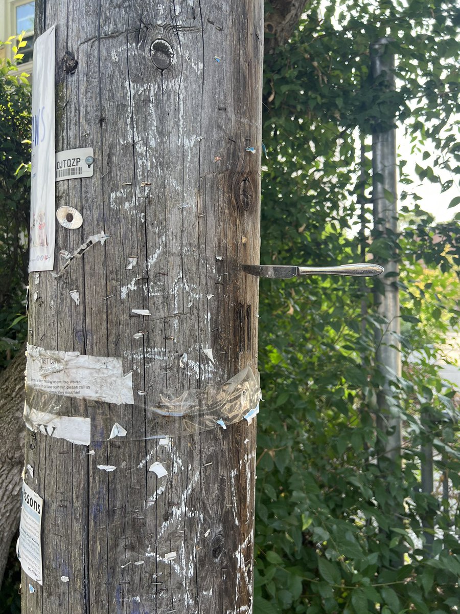 ashley poitevin tweet media