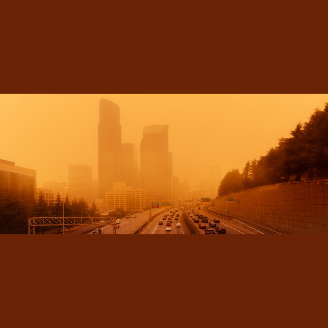 This summer's unprecedented heat and polluted air from wildfires is severely impacting air quality. Taking measures to ensure the air inside our homes is safe to breathe is necessary. Learn more from NPR:

npr.org/2023/08/15/119…

#AirQuality #CleanAir #StaySafe