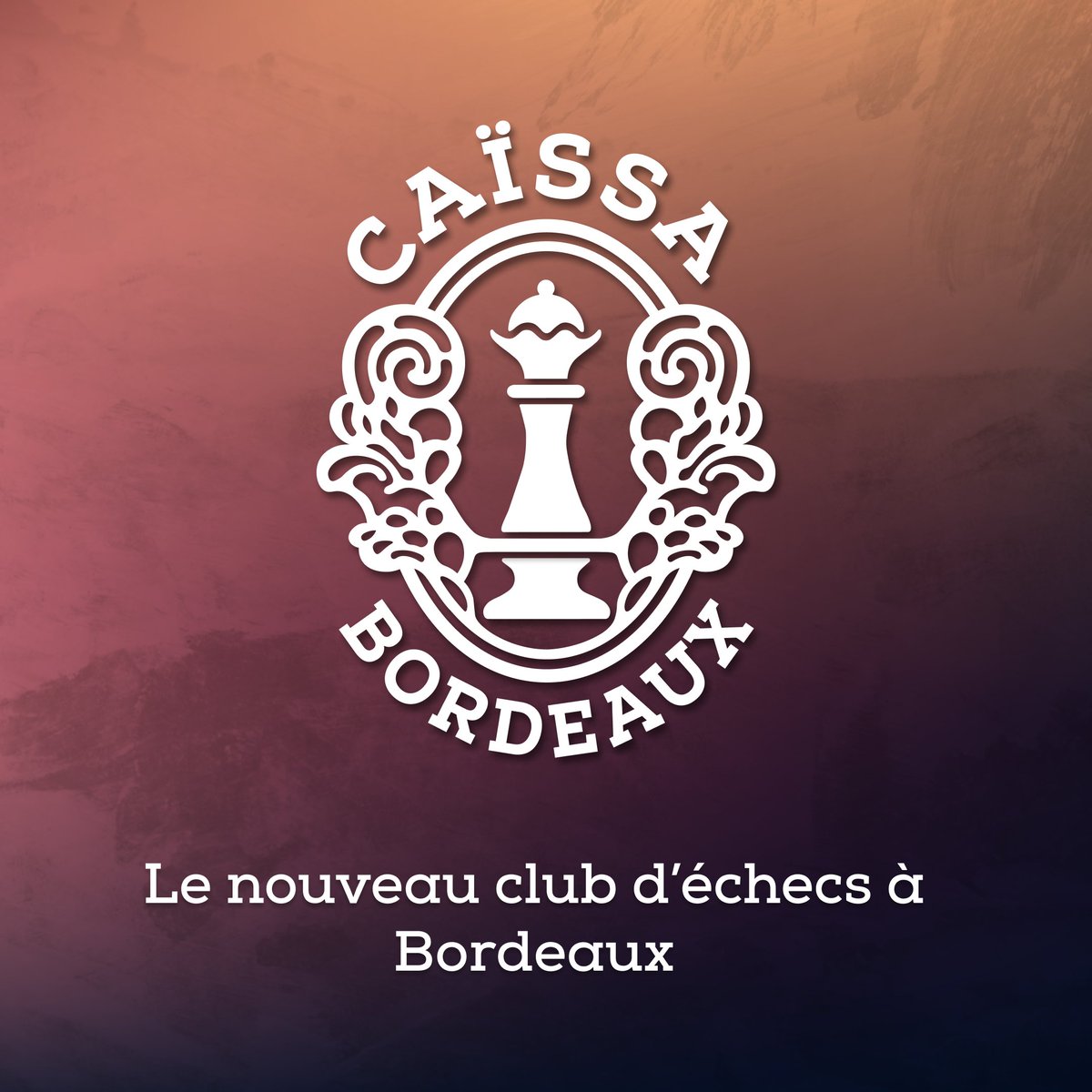 Caïssa Bordeaux tweet media