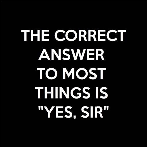 findomBDSMsub09's tweet photo. Yes Sir/Sent Sir. 😈😈. Sometimes even the best subs need a little reminder. 😉🤑 #yessir #sentsir #finsub #cashmaster #cashsub #alphamale #cashslave #cashpig #findom #gayfindom #bdsm https://t.co/qWrutSwm7I