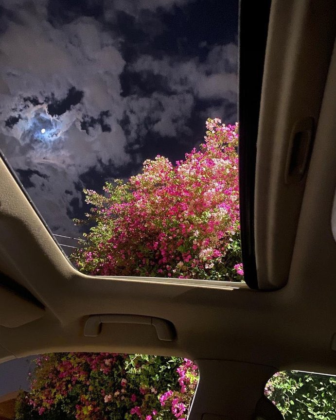 Yusuf Suresi özetle diyor ki:
Her imtihanın sonunda mutlaka bir mükâfat vardır; tüm mesele sabır ve tahamülde.