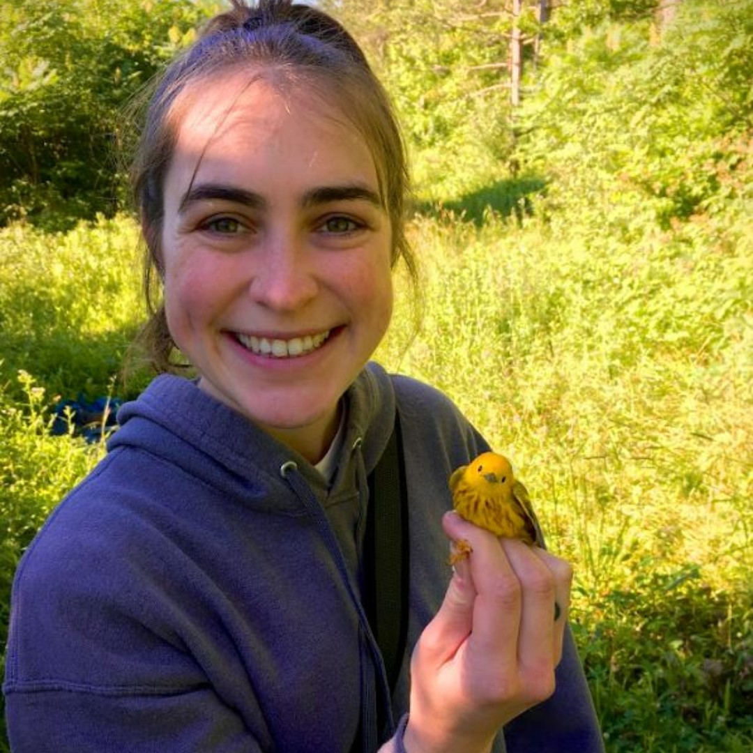 GCAScholarships's tweet image. Congrats '23 #NativeBird #Habitats Scholar Bridget Re, a PhD student at @virginia_tech! Re is studying saltmarsh sparrows, a threatened tidal marsh obligate songbird on the Atlantic coast facing extinction in 2040. #researchgrants @CornellBirds 
gcamerica.org/scholarships/d…