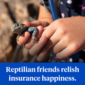 NationwidePet's tweet photo. Keep your reptilian buddy healthy and happy with our exotic pet insurance! 🦎🐸🐢 Find out what our plans offer: https://t.co/Kicj1rSt4z #ReptilePetInsurance https://t.co/bGcGloTFZc
